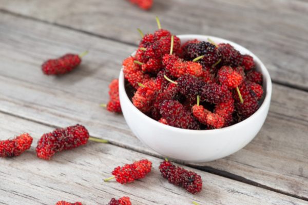 mulberry summer diet mfine