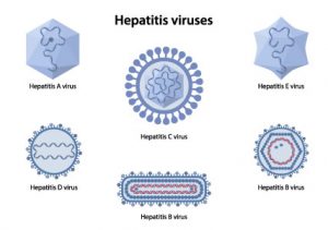 viral hepatitis types mfine