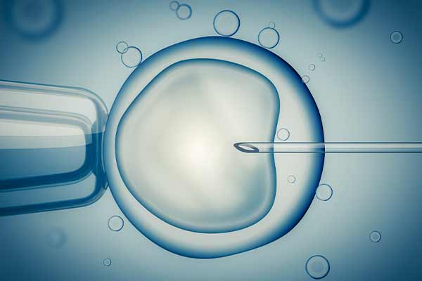 fertility treatments artificial insemination mfine 