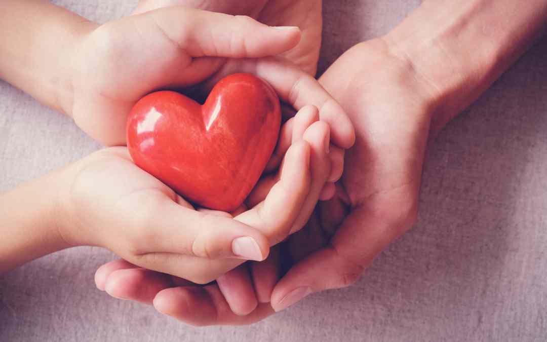 Giving The Gift of Life: 5 Organs That Can Be Donated