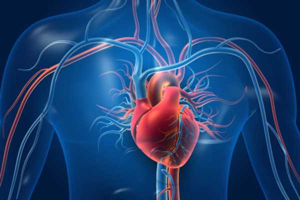 organ donation heart mfine 