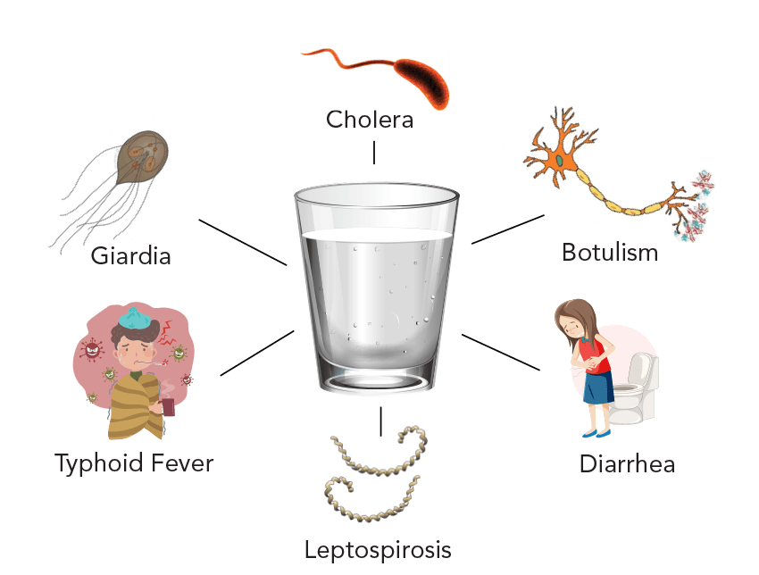 water borne diseases assignment