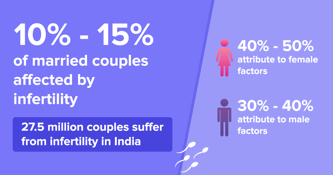 Infertility Treatments in India: Procedures & Success Rates