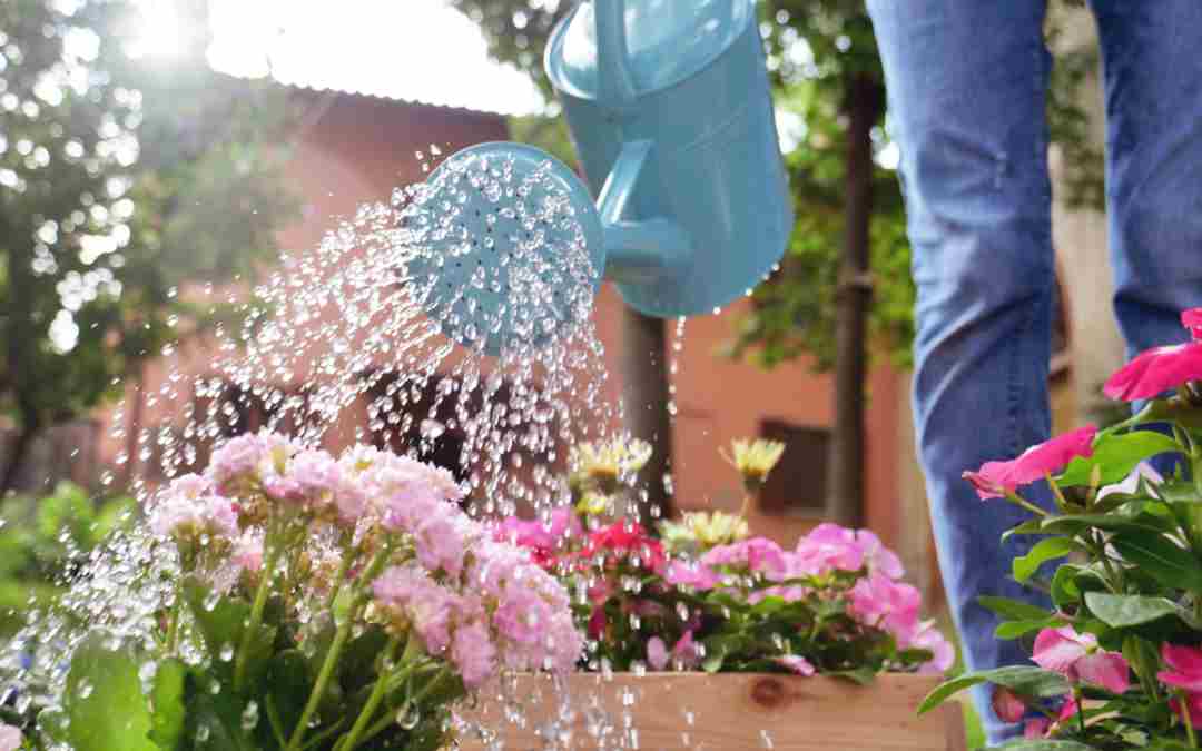 Home Gardening: Why It Is Good For Your Health