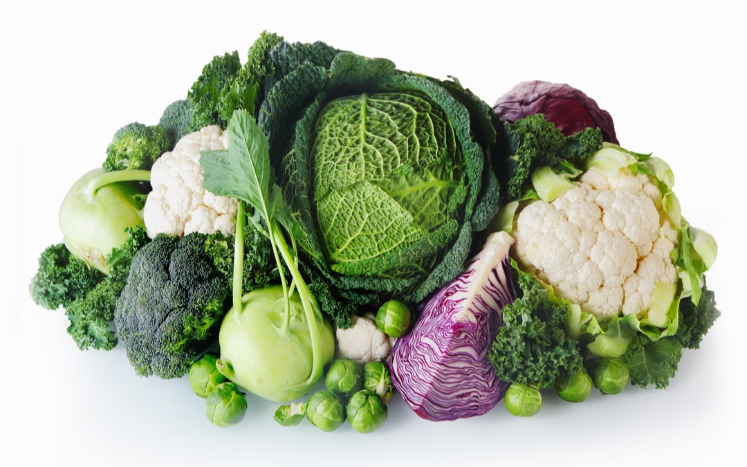 25 Best Low Carbohydrate Vegetables
