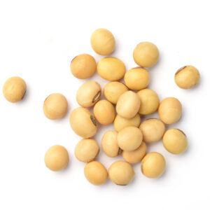 iron rich foods-soybean