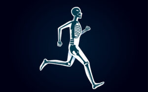 All About Bone Functions: Type, Structure, Tissue, and Cells