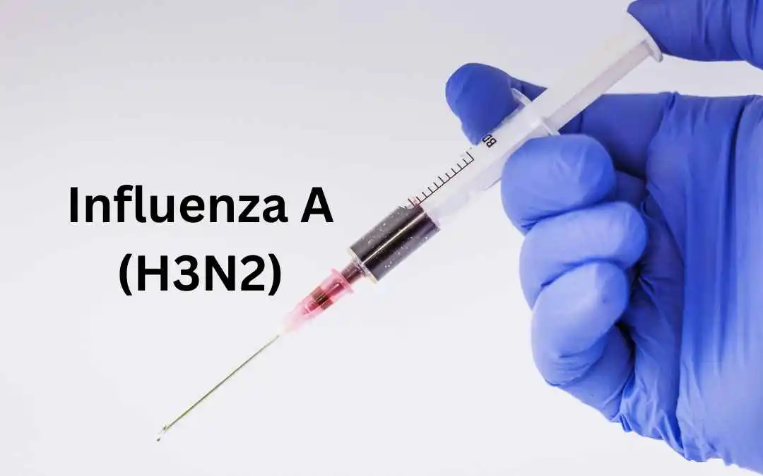 Influenza A H3N2: Types, symptoms, severity, risk factors, treatment &#038; more