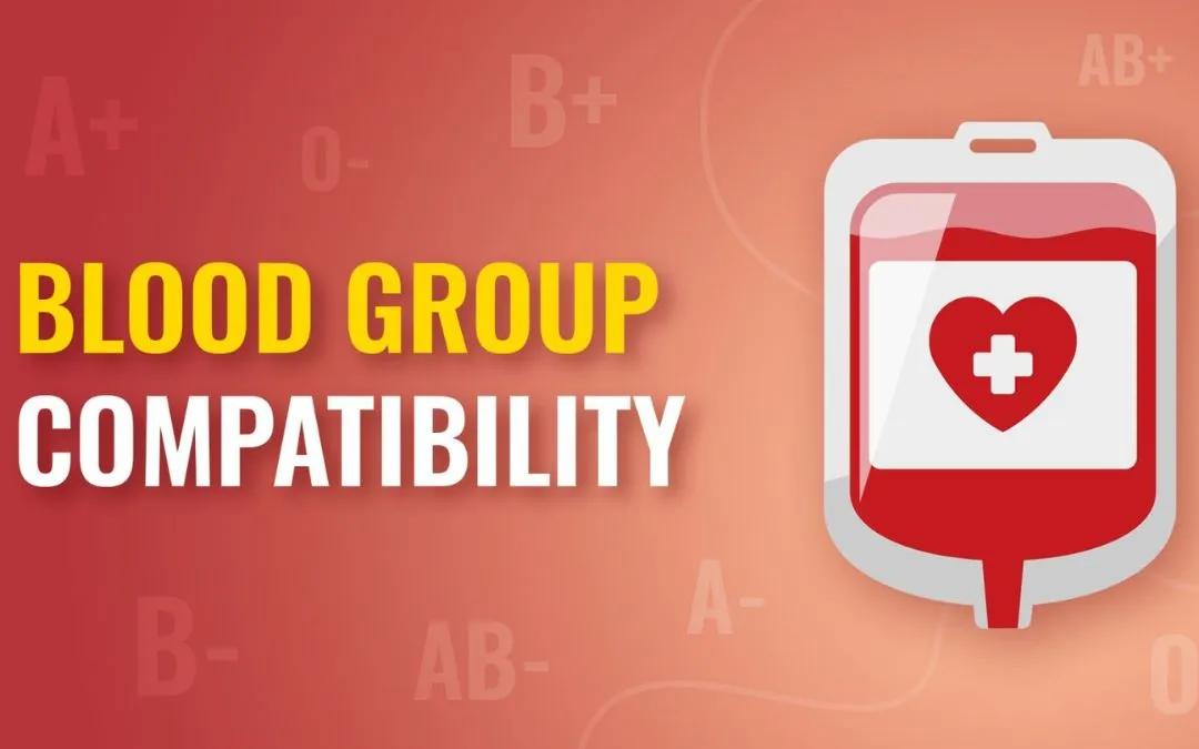 blood-group-compatibility-blood-group-compatibility-chart-mfine